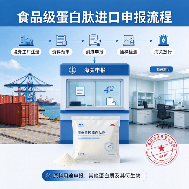 天津港水解鱼胶原蛋白肽粉进口清关找哪家